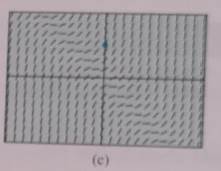 CALCULUS:GRAPHICAL,...,AP ED.-W/ACCESS, Chapter 6.1, Problem 43E , additional homework tip  1