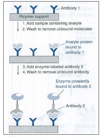 Solution Manual for Quantitative Chemical Analysis, Chapter 19, Problem 19.20P , additional homework tip  1