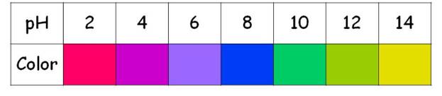 Living by Chemistry, Chapter U6, Problem 4STP 