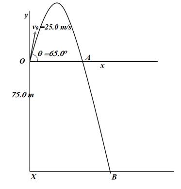 College Physics Volume 2, Chapter 3, Problem 67QAP , additional homework tip  1