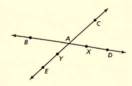 BIG IDEAS MATH Integrated Math 1: Student Edition 2016, Chapter 8.1, Problem 25E 