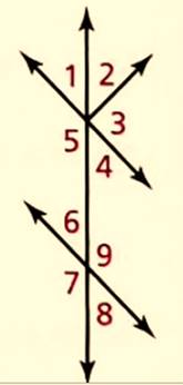 BIG IDEAS MATH Integrated Math 1: Student Edition 2016, Chapter 8.6, Problem 16E 