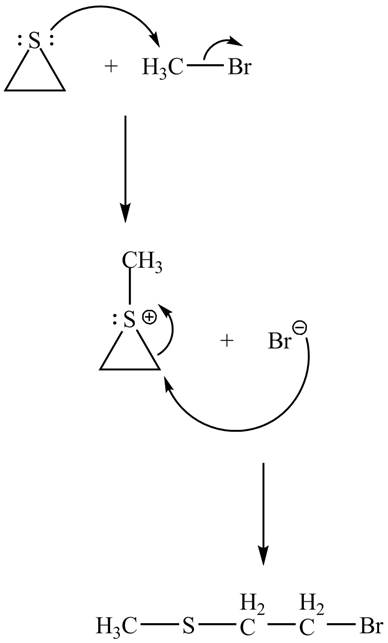 EBK ORGANIC CHEMISTRY, Chapter 11, Problem 11.77AP , additional homework tip  16