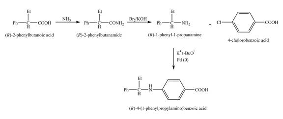 Organic Chemistry Study Guide and Solutions, Chapter 23, Problem 23.60AP , additional homework tip  10