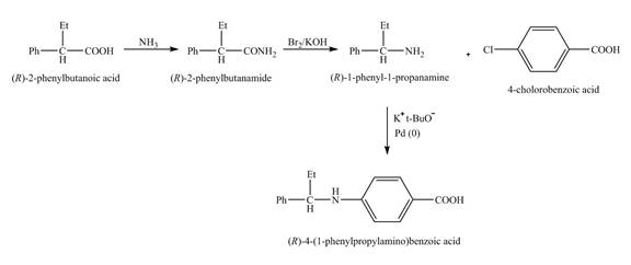 Organic Chemistry Study Guide and Solutions, Chapter 23, Problem 23.60AP , additional homework tip  11