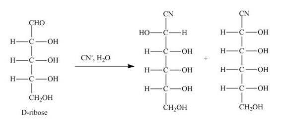 Organic Chemistry, Ebook And Single-course Homework Access, Chapter 24, Problem 24.35AP , additional homework tip  9