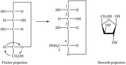 Loose-leaf Version For Organic Chemistry, Chapter 24, Problem 24.7P , additional homework tip  9