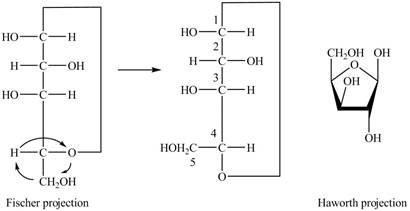 Loose-leaf Version For Organic Chemistry, Chapter 24, Problem 24.7P , additional homework tip  11