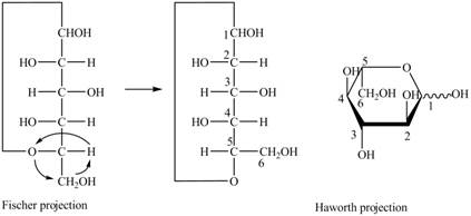 Organic Chemistry, Chapter 24, Problem 24.7P , additional homework tip  20