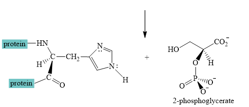 Organic Chemistry, Ebook And Single-course Homework Access, Chapter 25, Problem 25.35AP , additional homework tip  2