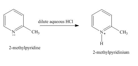 Organic Chemistry Study Guide and Solutions, Chapter 26, Problem 26.27AP , additional homework tip  1