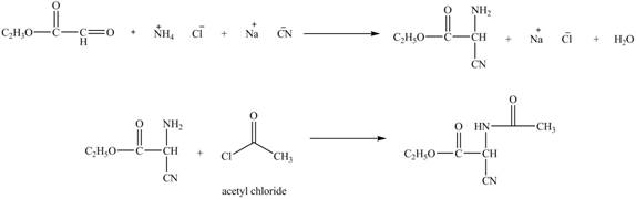 Organic Chemistry, Chapter 27, Problem 27.71AP , additional homework tip  17
