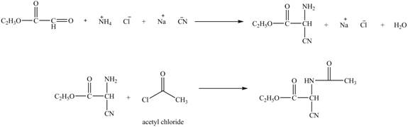 Organic Chemistry, Ebook And Single-course Homework Access, Chapter 27, Problem 27.71AP , additional homework tip  19