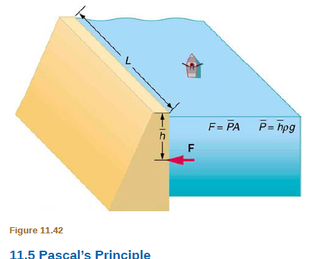 Chapter 11, Problem 23PE, Show that the total force on a rectangular dam due to the water behind it increases with the square 