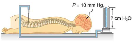 Chapter 11, Problem 75PE, Pressure in the spinal fluid is measured as shown in Figure 11.43. If the pressure in the spinal 