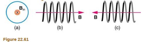Chapter 22, Problem 60PE, What are the directions of the currents in the loop and coils shown in Figure 22.61? 