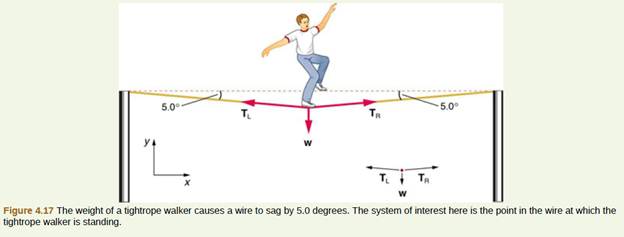 Chapter 4, Problem 19PE, (a) Calculate the tension in a vertical strand of spider web if a spider of mass 8.00105 kg hangs 