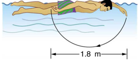 Chapter 7, Problem 56PE, The swimmer shown in Figure 7.44 exerts an average horizontal backward force of 80.0 N with his arm 