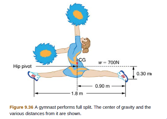 Chapter 9, Problem 16PE, A gymnast is attempting to perform splits. From the information given in Figure 9.36, calculate the 