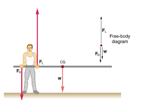 Chapter 9, Problem 18PE, In Figure 9.21, the cg of the pole held by the pole vaulter is 2.00 m from the left hand, and the , example  1