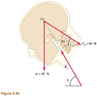 Chapter 9, Problem 30PE, A person working at a drafting board may hold her head as shown in Figure 9.40, requiring muscle 