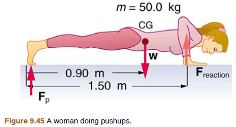 Chapter 9, Problem 37PE, (a) What force should the woman in Figure 9.45 exert on the floor with each hand to do a push-up? 
