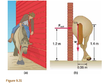 Chapter 9, Problem 8PE, (a) Calculate the magnitude and direction of the force on each foot of the horse in Figure 9.31 (two 