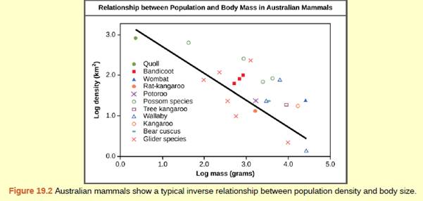 Chapter 19, Problem 1ACQ, Figure 19.2 As this graph shows, population density typically decreases with increasing body size. 