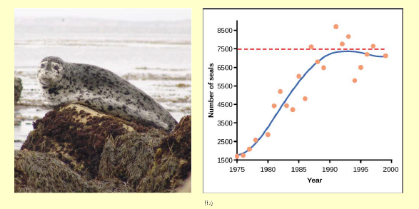 Chapter 19, Problem 2ACQ, Figure 19.6 If the major food source of seals declines due to pollution or overfishing, which of the , example  2
