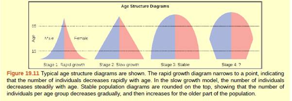 Chapter 19, Problem 3ACQ, Figure 19.11 Age structure diagrams for rapidly growing, slow growing, and stable populations are 