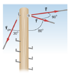 Chapter 12, Problem 81CP, The pole shown below is at a 90.0 bend in a power line and is therefore subjected to more shear 