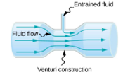 Chapter 14, Problem 25CQ, A tube with a narrow segment designed to enhance entrainment is called a Venturi, such as below. 