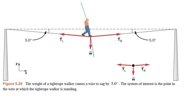 Chapter 5, Problem 61P, Show that, as explained in the text, a force F exerted on a flexible medium at its center and 