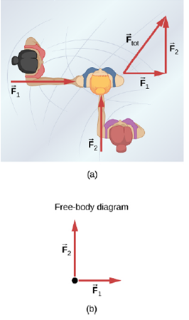 Chapter 6, Problem 51P, Consider the 65.0-kg ice skater being pushed by two others shown below. (a) Find the direction and 