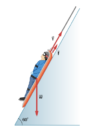 Chapter 7, Problem 30P, Suppose the ski patrol lowers a rescue sled and victim, having a total mass of 90.0 kg, down a 60.00 