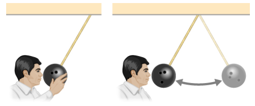 Chapter 8, Problem 14CQ, In a common physics demonstration, a bowling ball is suspended from the ceiling by a rope. The 