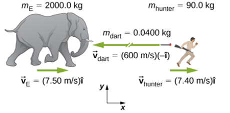 Chapter 9, Problem 18P, An elephant and a hunter are having a confrontation. a. Calculate the momentum of the 2000.0-kg 