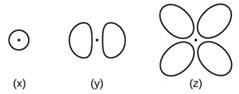 Chapter 6, Problem 41E, Consider the orbitals shown here in outline. (a) What is the maximum number of electrons contained 