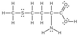 Chapter 8, Problem 14E, Methionine, CH3SCH2CH2CH(NH2)CO2H, is an amino acid found in proteins. The Lewis structure of this 