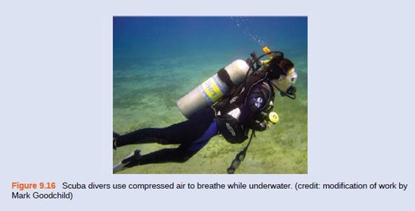 Chapter 9, Problem 19E, Explain how the volume of the bubbles exhausted by a scuba diver (Figure 9.16) change as they rise 