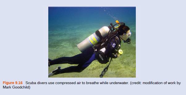 Chapter 9, Problem 38E, A large scuba tank (Figure 9.16) with a volume of 18 L is rated for a pressure of 220 bar. The tank 
