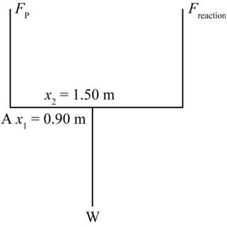 College Physics, Chapter 9, Problem 37PE 