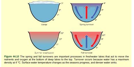 Chapter 44, Problem 1VCQ, Figure 44.10 How might turnover in tropical lakes differ from turnover in lakes that exist in 