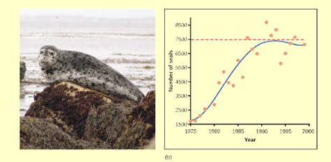 Chapter 45, Problem 2VCQ, Figure 45.10b If the major food source of the seals declines due to pollution or overfishing, which , example  1