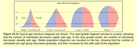 Chapter 45, Problem 3VCQ, Figure 45.16 Age structure diagrams for rapidly growing, slow growing, and stable populations are 